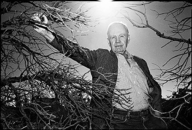 Cormac McCarthy au-delà de la limite du monde 